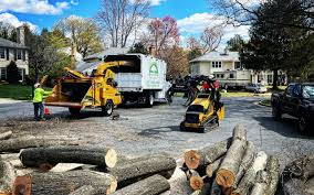 Best Lot and Land Clearing  in Fountain Hill, PA